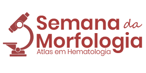 Logo Semana da Morfologia